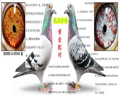 ����������������