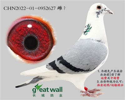 ����x����2627