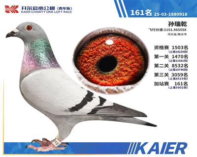 ����161��