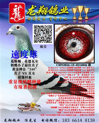 ��������С���۳���