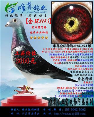 ����693�����ʵսϵ��