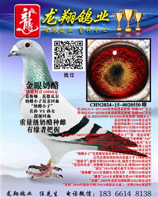 ��������С�ӴƳ���