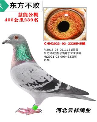 ��������151ֱŮ545