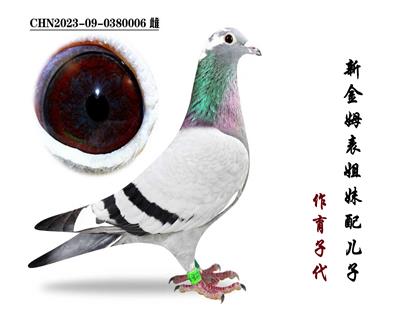 ���½�ķ�����á���Ѫ�Ӵ�