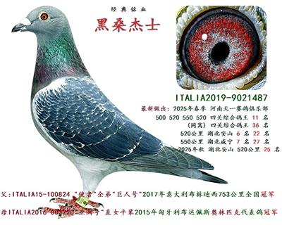 ���ֿ�˹��