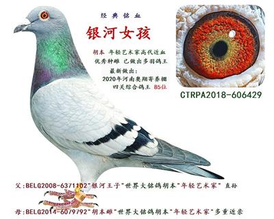 ����Ů��