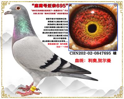 ���ڻ���������.....