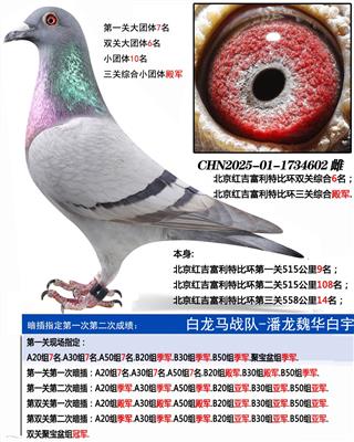 �����켪�����رȻ������ۺ�4��.