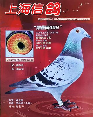 ���½�ķȫ�ֵܡ���Ů