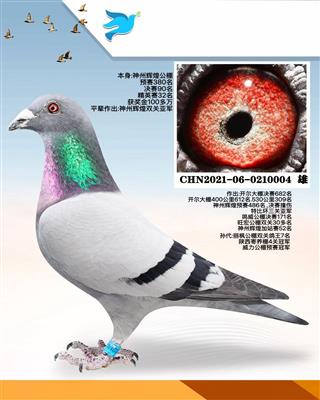 ����90��.��������