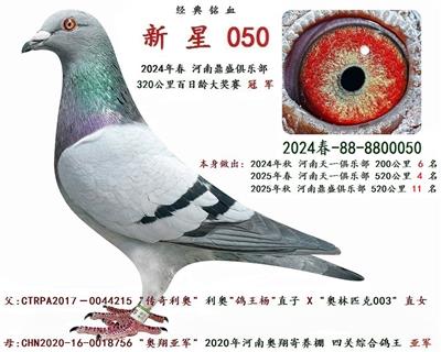 2024�괺 ������ �� ��