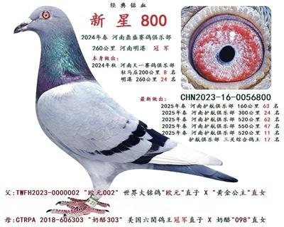 2024�괺 260���� �� ��