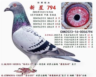 2024�괺 260���� �� ��