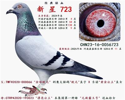 2024�괺  520���� 9 ��