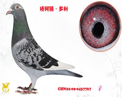 ������0437767