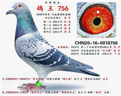 2020����ϰ���������Ĺ��ۺϸ����Ǿ�