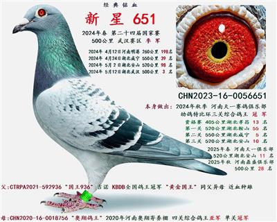 2024�괺  �ڶ�ʮ�Ľ������ ����