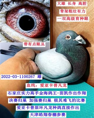 �������ۣ����ǿ��շ�����