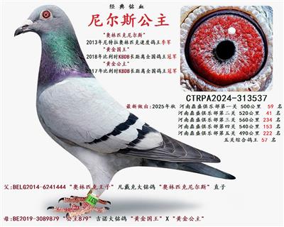 ���˹����