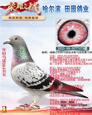 ������ŵ084ֱŮ