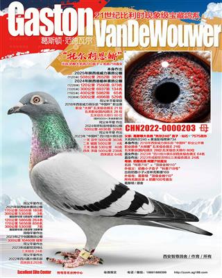 240��Ů718����