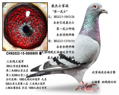 ɣ��ʿ��ʯ����