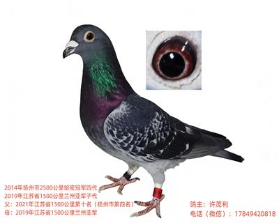 ��(gu��)Ѫ���h(yu��n)�̅��������L(zh��ng)���xِ��(j��)���Ӵ����N��