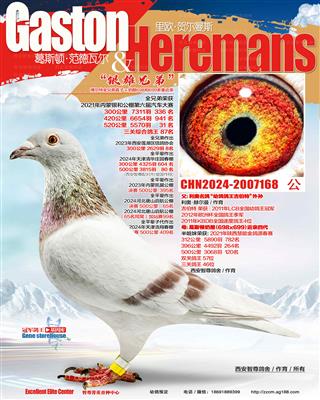 ����ս���ֵ�