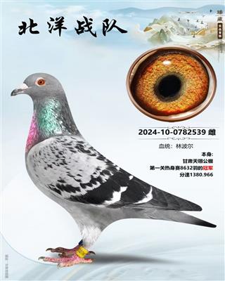 24��������������8632��ھ�ʨ��