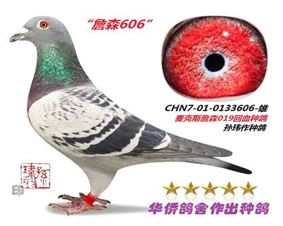 ���������18�ιھ�ղɭ���˹019ϵ