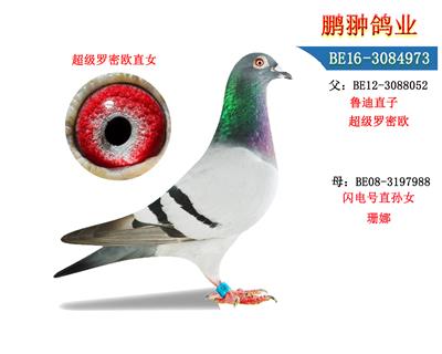 ��������ŷֱŮ