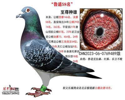 ³��58����