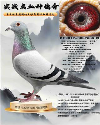 ���������ֱŮ