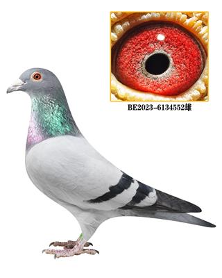 �������ƶ���Ѫ��