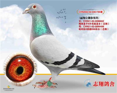 ���蹫�������