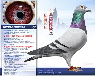 ��C(j��)܊��