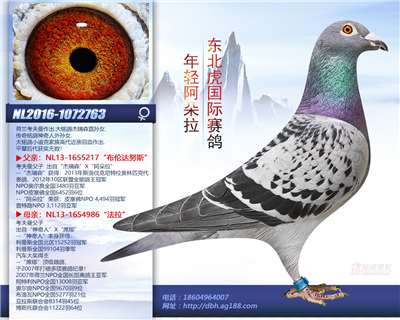 ���p������