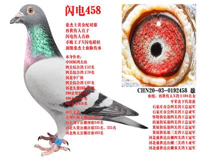 ɣ��ʿ ����458