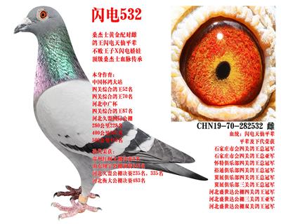 ɣ��ʿ ����532