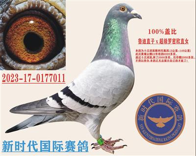 �Ǳȡ�³�ϡ�ֱ��x����������ŷ��ֱŮ