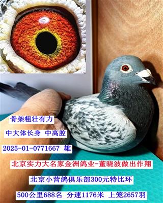 �������޸�ҵ-������