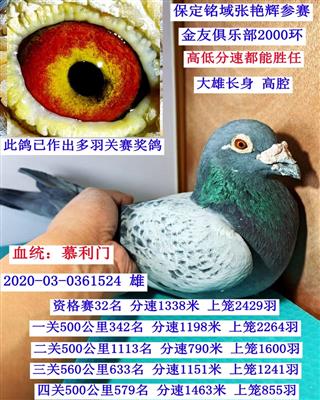 Ľ��������