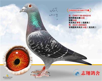 ���ݸ���ֱ��