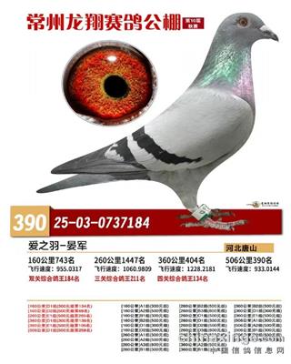 2025�꽭�����蹫��ɼ���