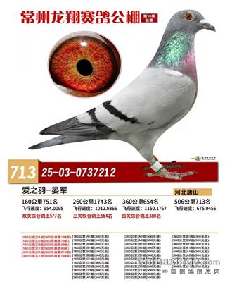 2025�꽭�����蹫��ɼ���