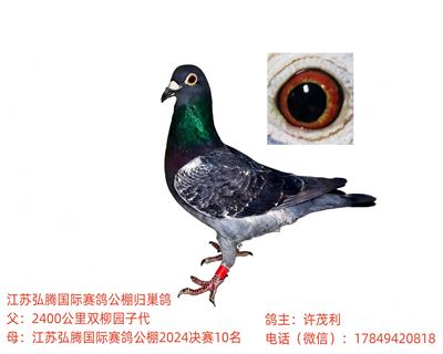 ����w������(gu��)Ѫ���h(yu��n)�̺͹���ِ��(j��)���Ӵ�