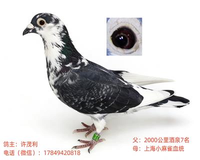 ��(gu��)Ѫ���h(yu��n)�̅��������L(zh��ng)���x�Ϻ�С��ȸ�ӷN��