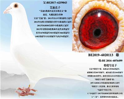 �����Ϻš�X���ź�