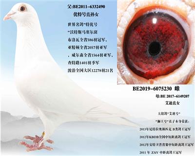 �����Ϻš���ѪX�����źš���Ů