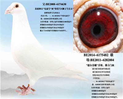 ���ź�ֱ��